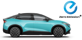 NOWY LEAF NOWY LEAF