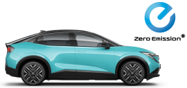 NOWY LEAF NOWY LEAF